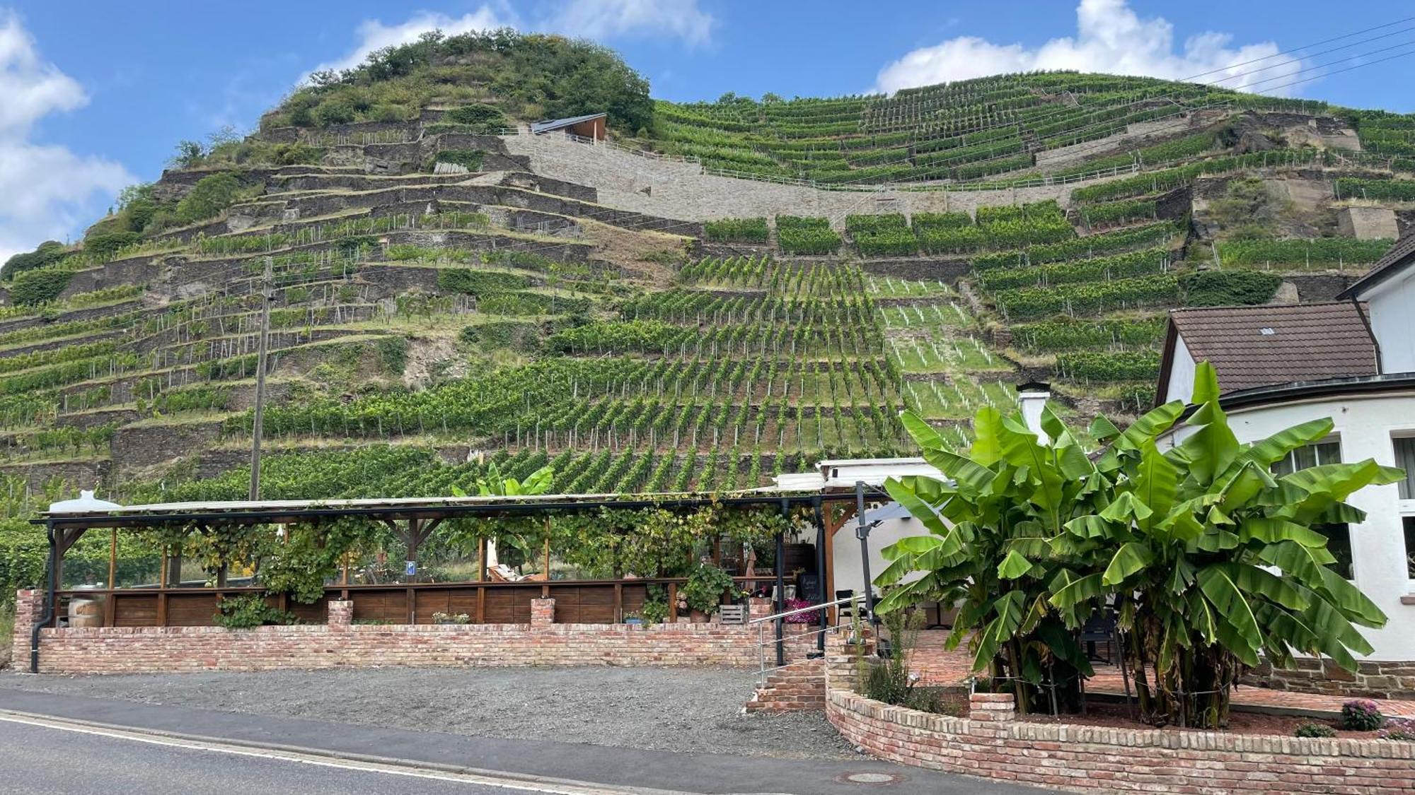 Hotel Winzerschenke Bad Neuenahr-Ahrweiler Zewnętrze zdjęcie